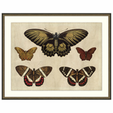 Bundle & Save Crackled Butterfly Chart 1 Art + Crackled Butterfly Chart 2 Art